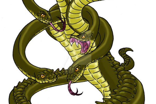 Kraken 24 at