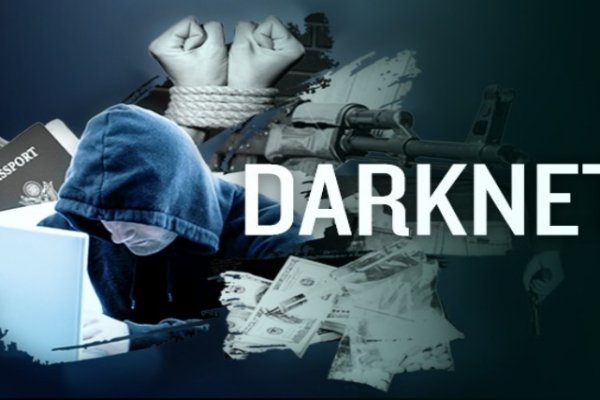 Как вывести деньги с kraken