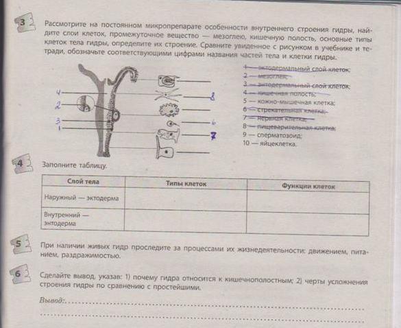 Кракен не работает тор